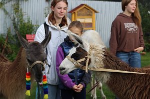 Unterwegs mit den Unstrut Lamas aus Herbsleben