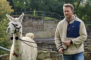 Unterwegs mit den Unstrut Lamas aus Herbsleben