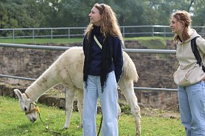 Unterwegs mit den Unstrut Lamas aus Herbsleben