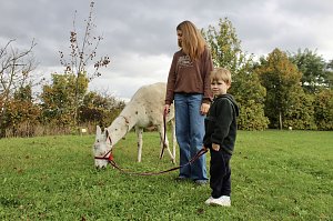Unterwegs mit den Unstrut Lamas aus Herbsleben