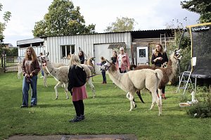 Unterwegs mit den Unstrut Lamas aus Herbsleben