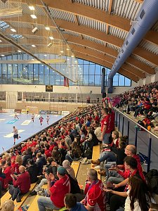 Europ&auml;ischer Spitzenhandball in der Wiedigsburghalle