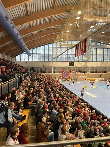 Europ&auml;ischer Spitzenhandball in der Wiedigsburghalle