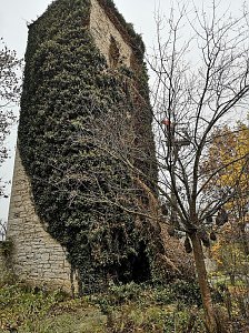 Befreiungsarbeiten am Pulverturm im Arboretum