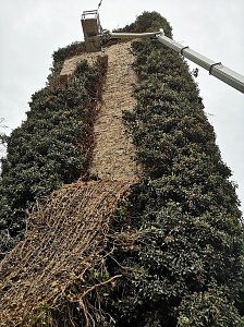 Befreiungsarbeiten am Pulverturm im Arboretum