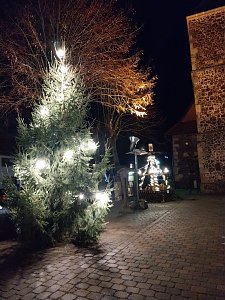 Advent auf den H&ouml;fen in Neustadt/Harz - Leuchtender Weihnachtsbaum