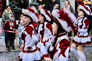 Das Jahr 2024 in Bad Langensalza - Gr&uuml;ne Altstadtfest