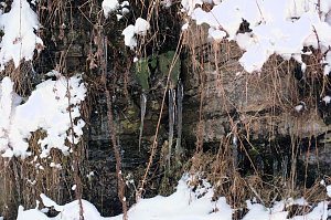 Winterlicher Harzausflug mit Kamera