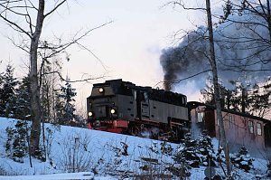 Winterlicher Harzausflug mit Kamera