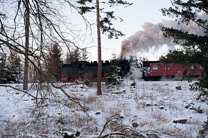Winterlicher Harzausflug mit Kamera