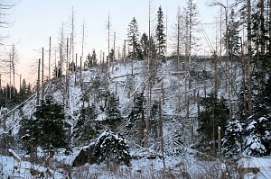 Winterlicher Harzausflug mit Kamera