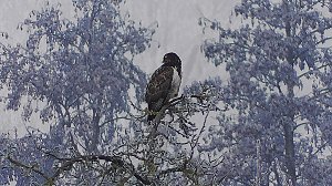 Winter in der Goldenen Aue