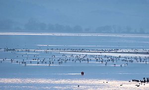 Besuch am Stausee