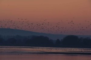 Besuch am Stausee