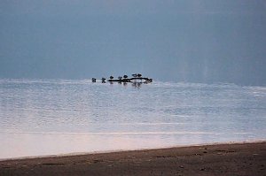 Besuch am Stausee