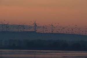 Besuch am Stausee
