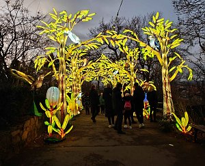 Magische Lichterwelten in Halle