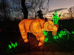 Magische Lichterwelten in Halle