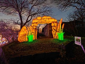 Magische Lichterwelten in Halle