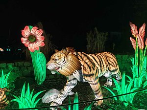 Magische Lichterwelten in Halle