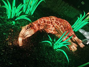 Magische Lichterwelten in Halle