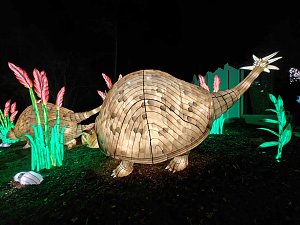 Magische Lichterwelten in Halle