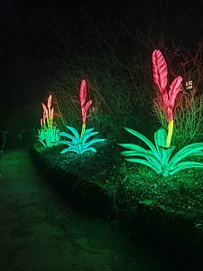 Magische Lichterwelten in Halle