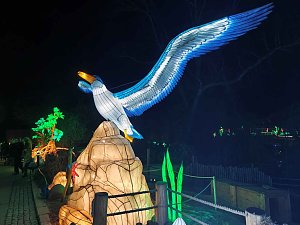 Magische Lichterwelten in Halle