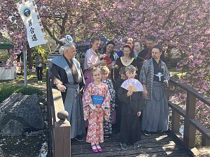 Hanami im Japanischen Garten