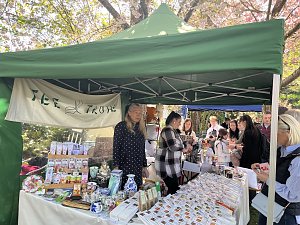 Hanami im Japanischen Garten