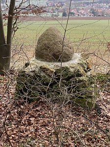 Wandergruppe im April