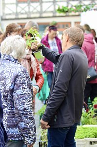 Das "Gr&uuml;ne Innenstadtfest" von Bad Langensalza 