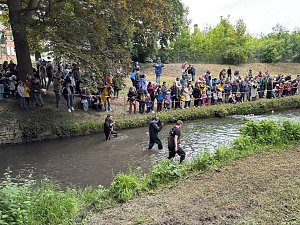 Menschen und Enten am und im Wasser