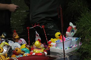 Entenrennen 2025 in Bad Langensalza 