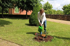 Ein neuer Rosenstock f&uuml;r Anja Klement und bad Langensalza