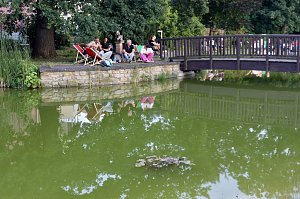 Tolle Stimmung im Rosengarten Bad Langensalza mit Reggae-Kl&auml;ngen