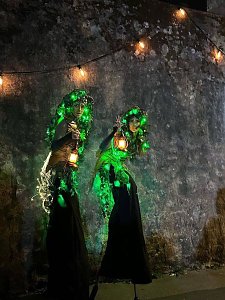 Duo Stellaris
