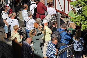 31.Mittelalterstadtfest Bad Langensalza