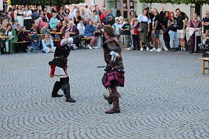 Rittergruppe HEROLD beim 31. Mittelalterstadtfest in Bad Langensalza