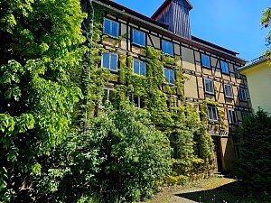 Der Tag des offenen Denkmals in Mühlhausen legt den Fokus auf das Gerberviertel
