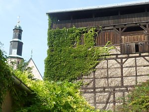 Der Tag des offenen Denkmals in Mühlhausen legt den Fokus auf das Gerberviertel