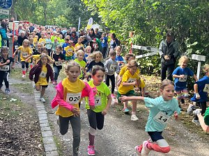 Kreis-Crosslauf auf dem J&uuml;denh&uuml;gel