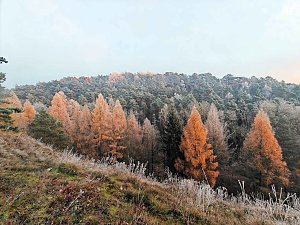 Winterlandschaften