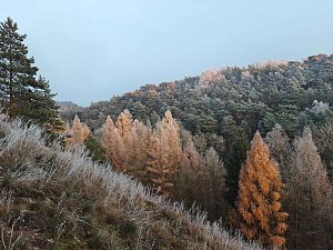 Winterlandschaften
