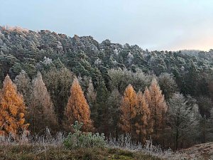 Winterlandschaften