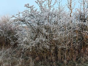 Winterlandschaften