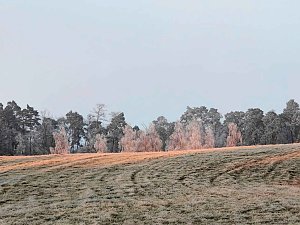 Winterlandschaften