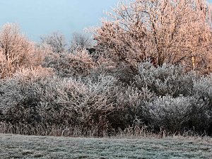 Winterlandschaften