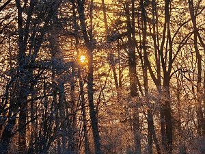 Winterlandschaften