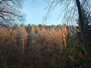 Winterlandschaften
